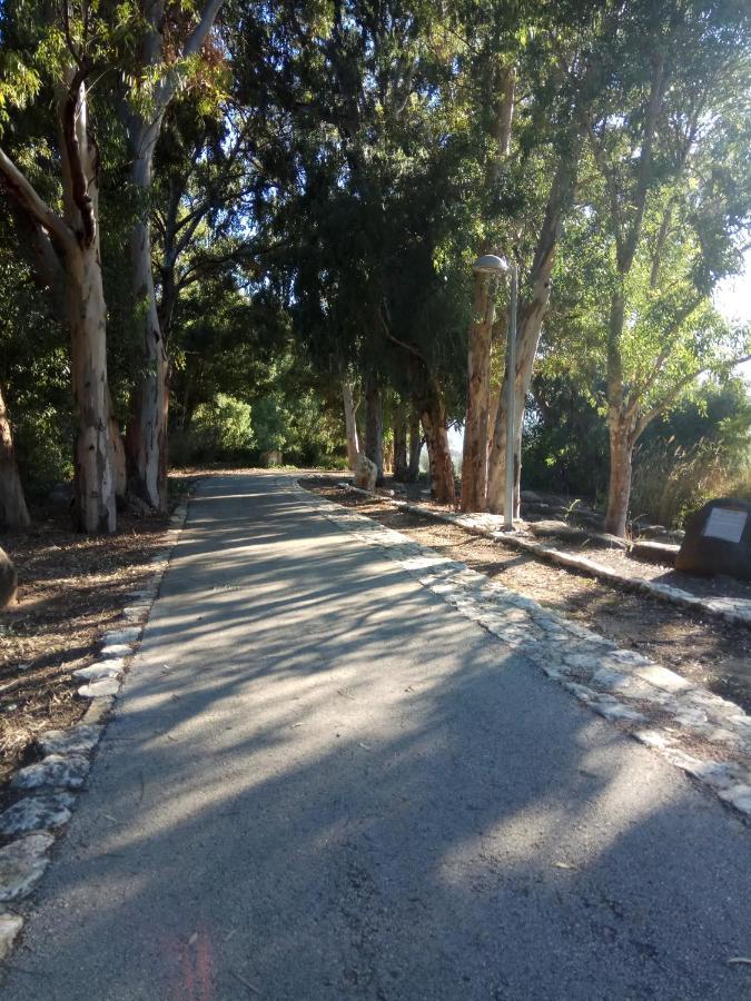 אצלנו - בגליל העליון Lägenhet Qiryat Shemona Exteriör bild