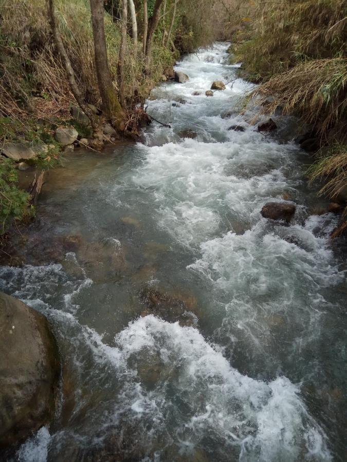 אצלנו - בגליל העליון Lägenhet Qiryat Shemona Exteriör bild