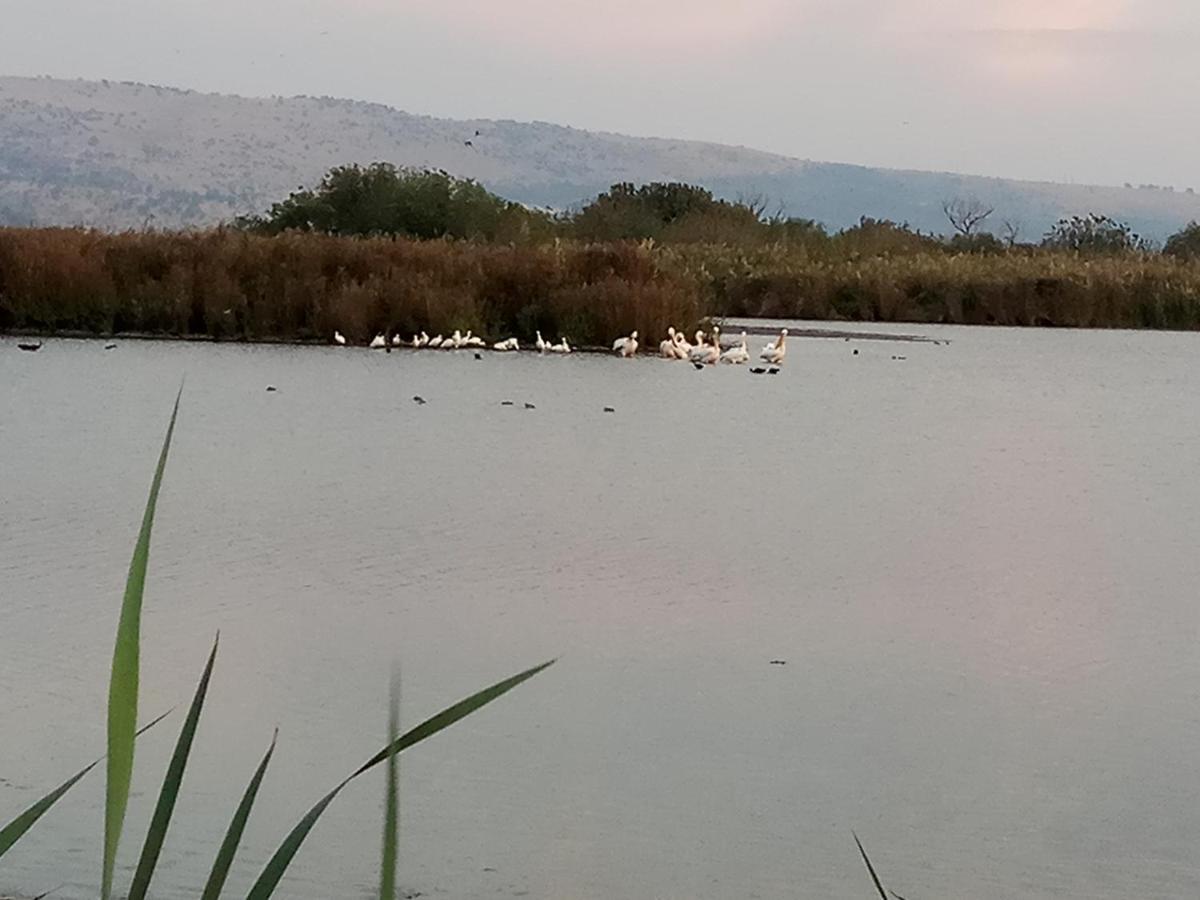 אצלנו - בגליל העליון Lägenhet Qiryat Shemona Exteriör bild